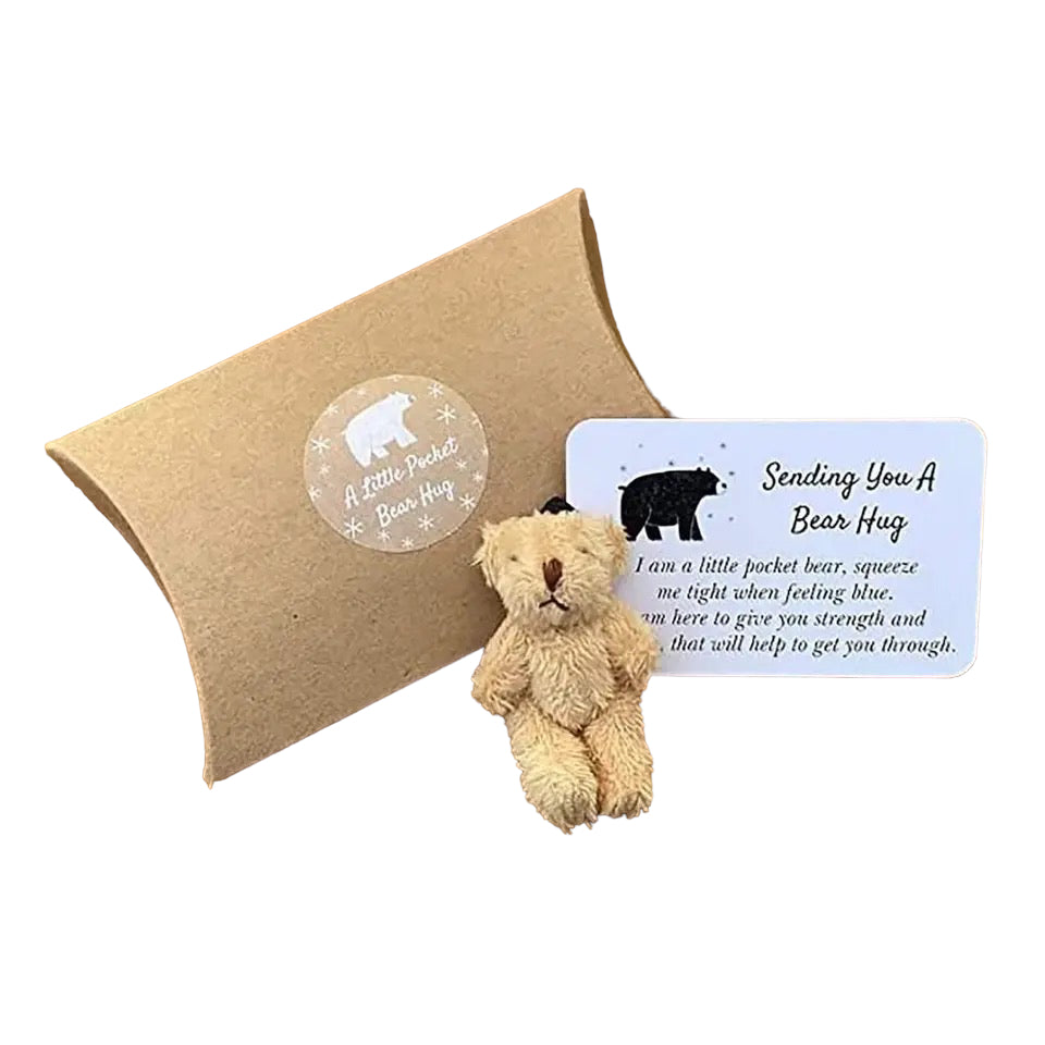 Encouragement — ‘Sending you a bear hug’ bear.