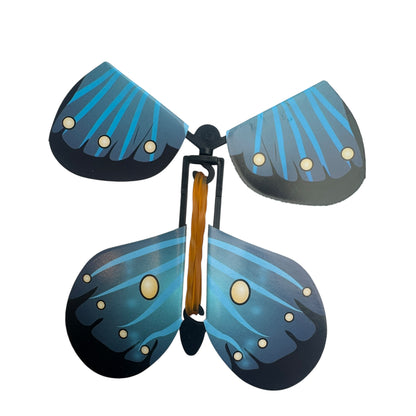 Experience — 3D Butterflies