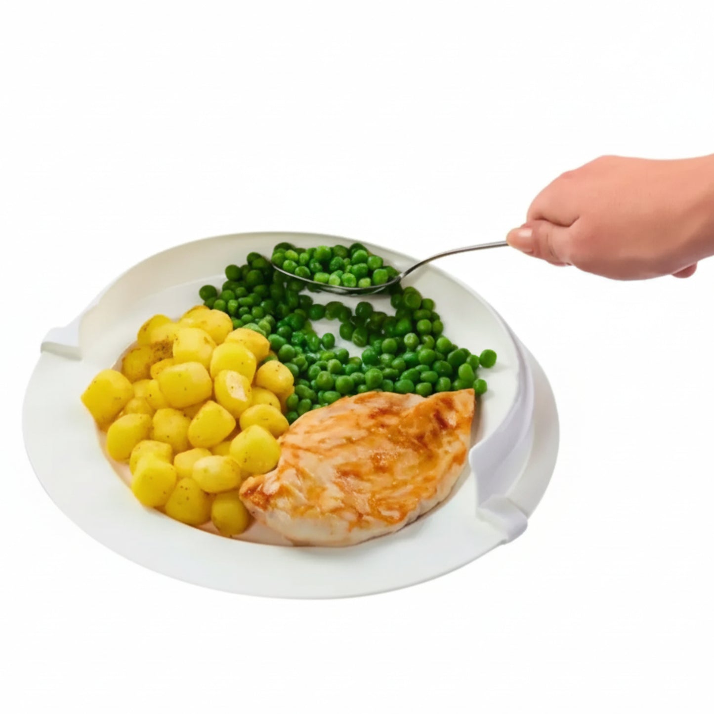 Anti-Spill Plate Guard