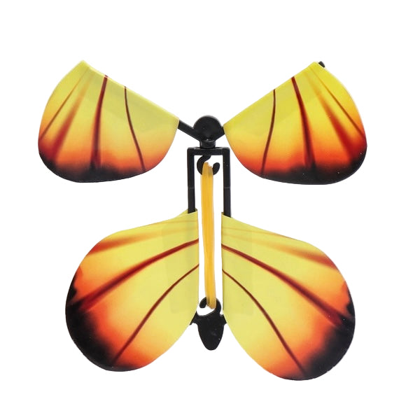 Experience — 3D Butterflies