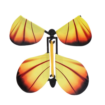 Experience — 3D Butterflies