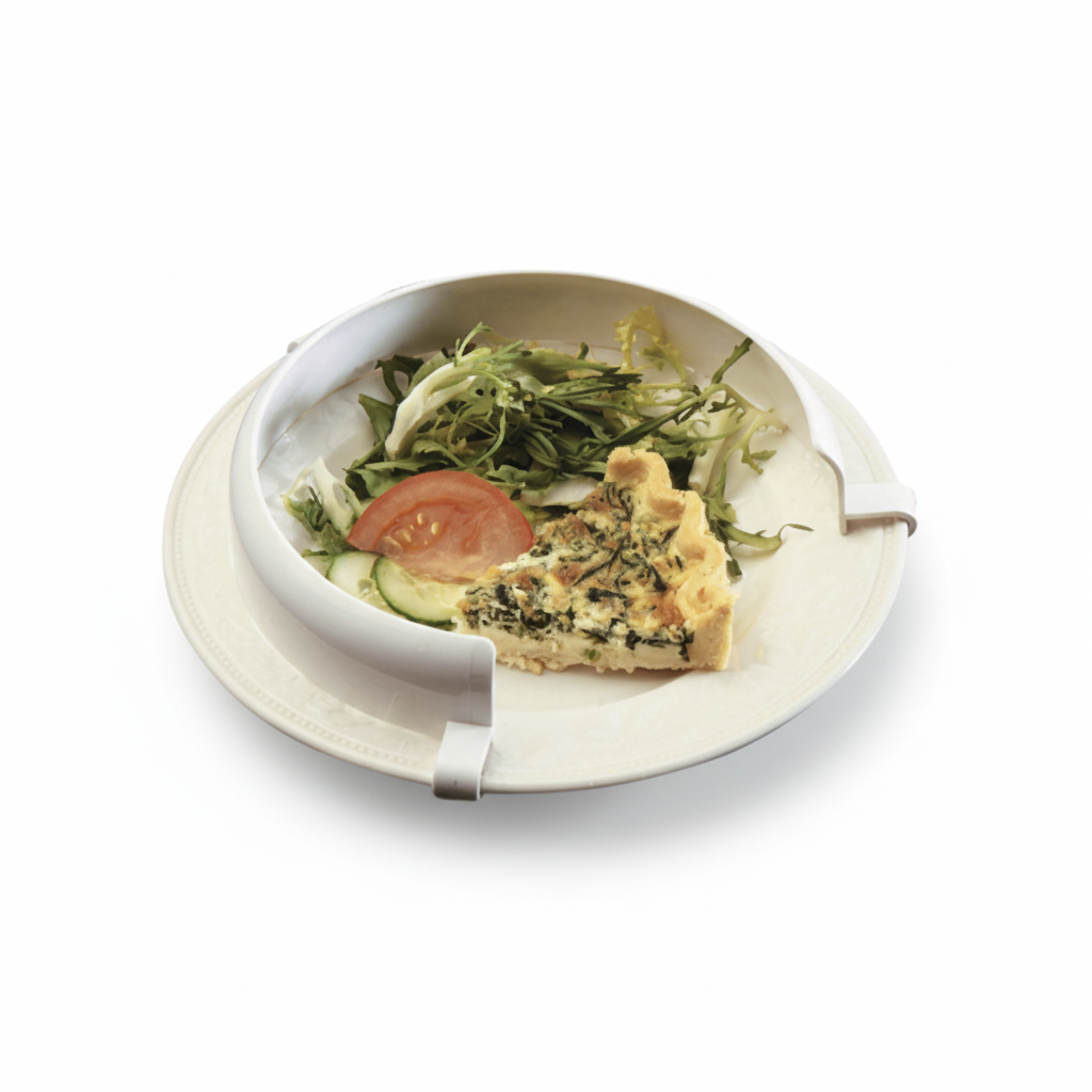 Anti-Spill Plate Guard