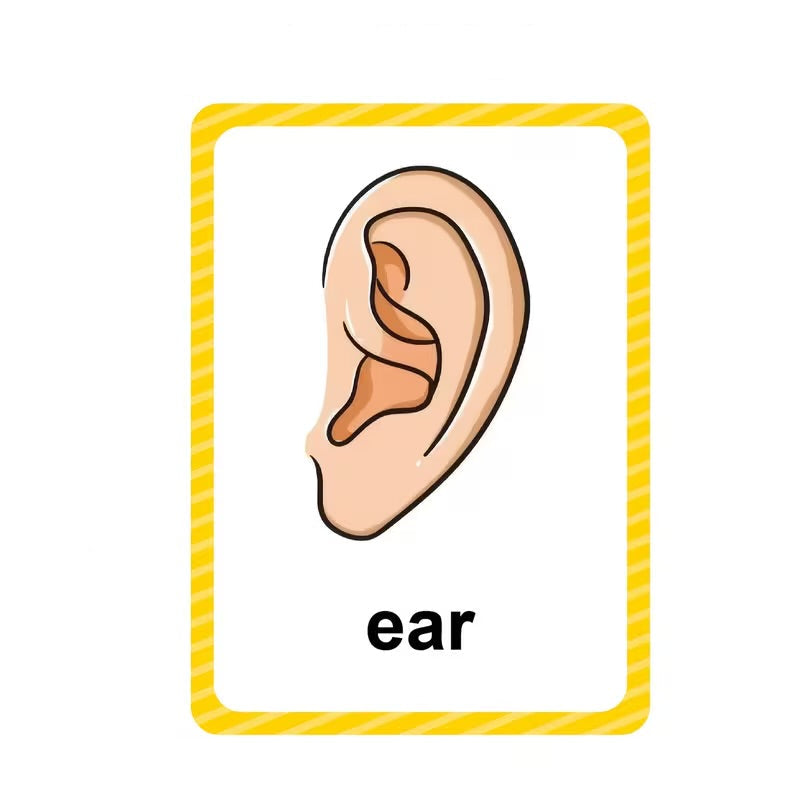 Communication Cards — Body Parts