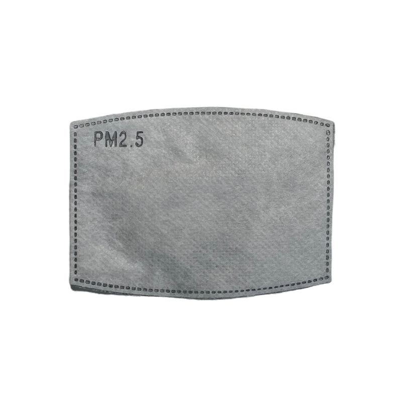 PM2.5 Mask Filters — 5 Pack